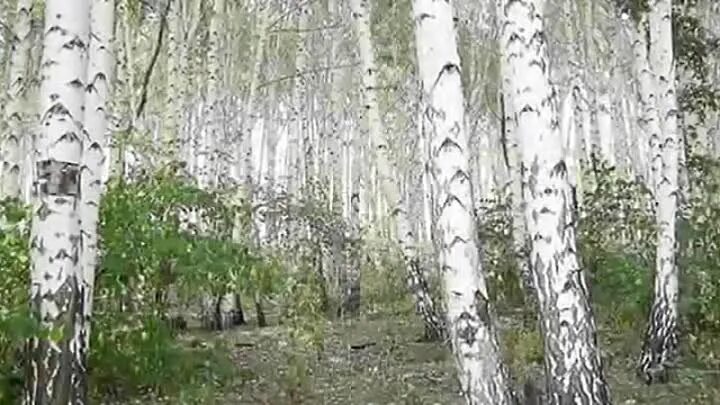 мы теперь уходим понемногу песня