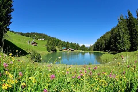 La nature