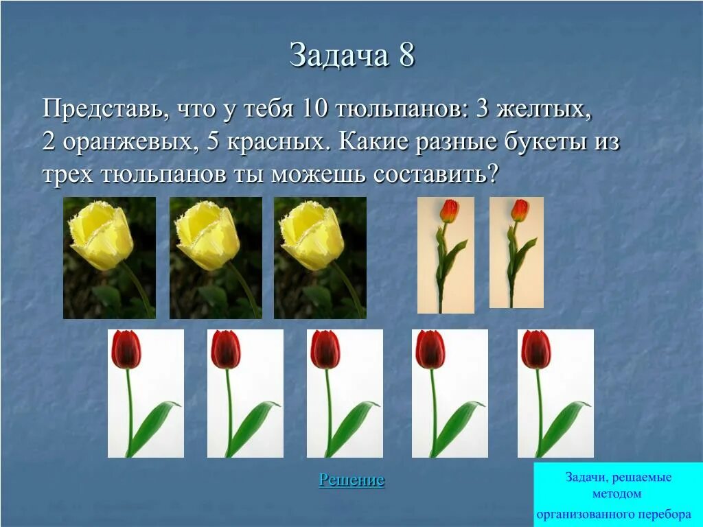 На клумбе 42 тюльпана из них 24. Два цветка разных тюльпана. тюльпаны задания. вид тюльпана обыкновенного. 3 тюльпана.