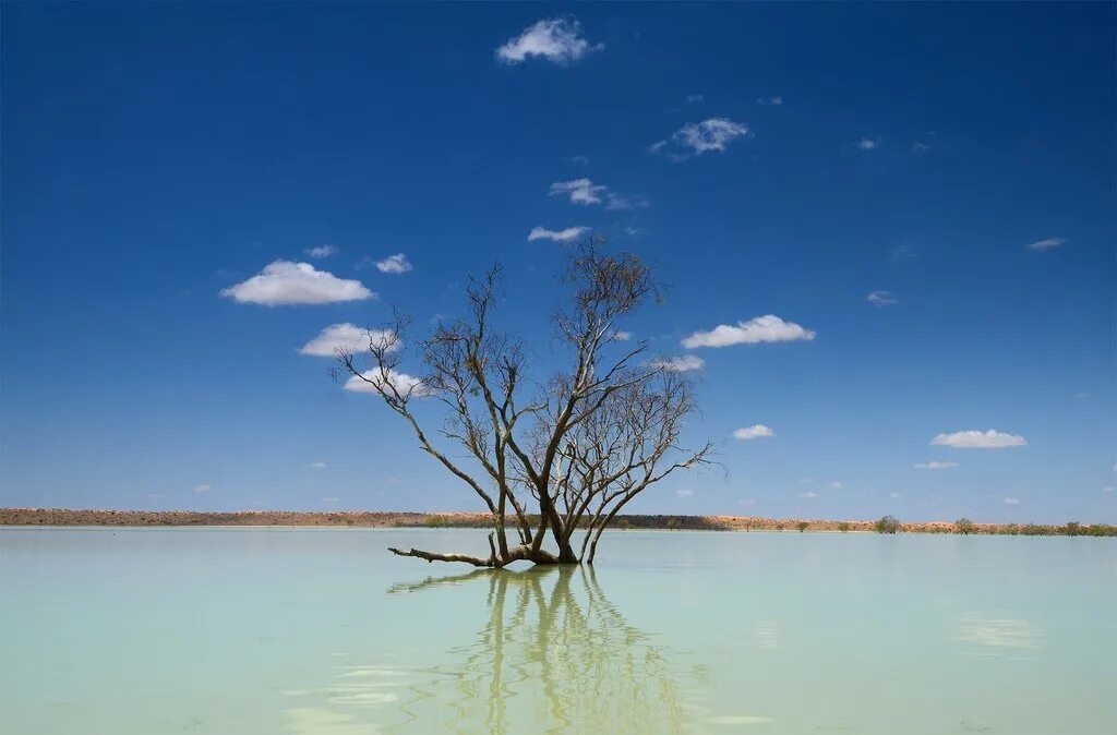 Эйр Норт Австралия. Озеро Эйр Норт. Озеро Эйр норм в Австралии. Фото озера Эйр Норт в Австралии. Озеро эйр находится в