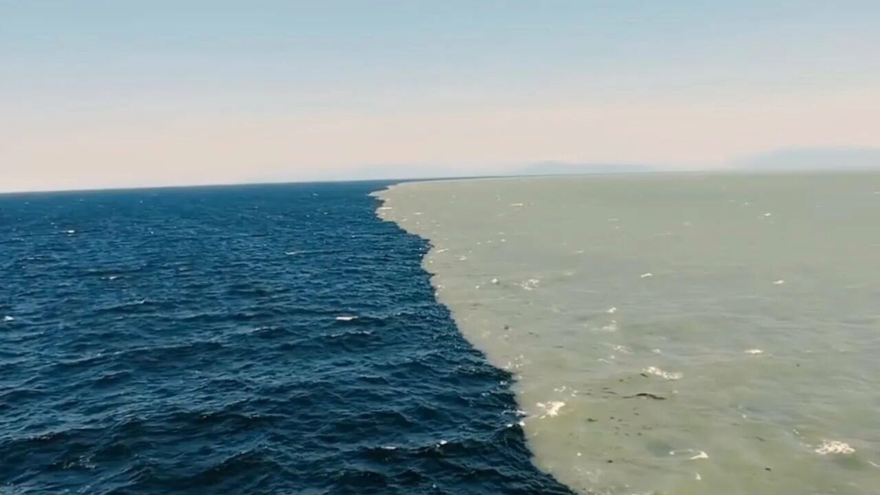 Аляскинский залив. Галоклин Балтийское море.