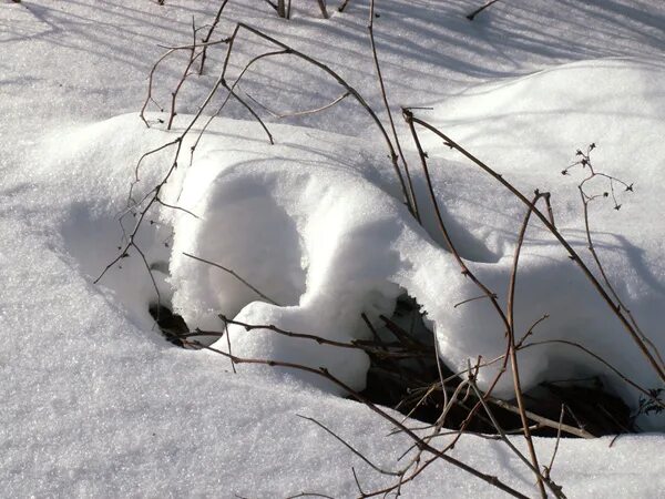 Февральские деньки фото стильные. Зимняя летопись белым ровным слоем. Укатанный снег. Летопись зимы. Летопись зимы.