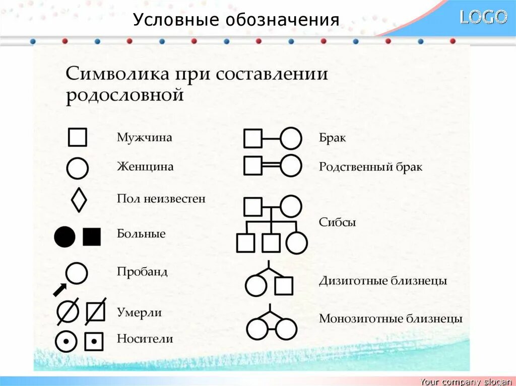 Условные обозначения в генеалогическом древе