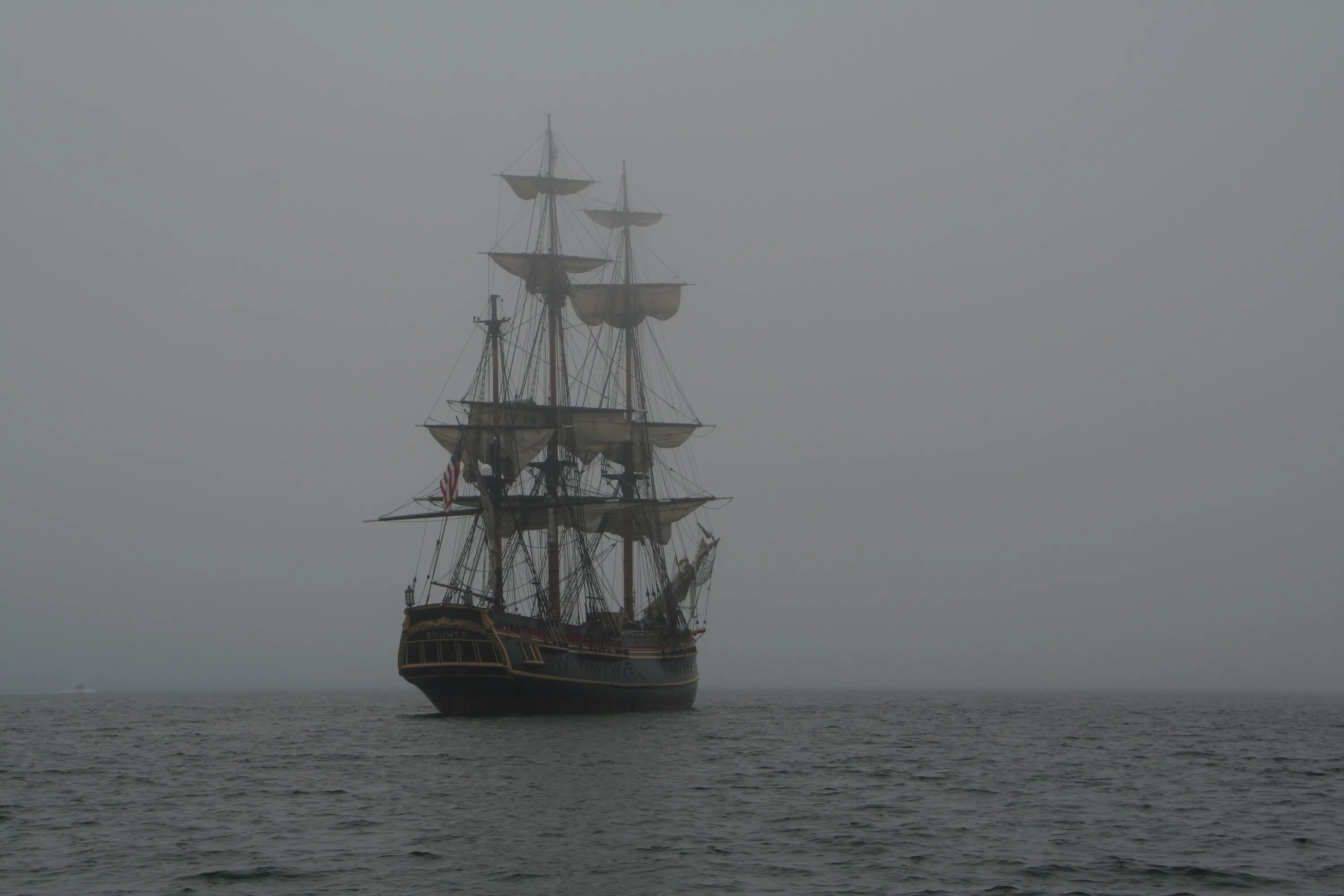 Ship in 2 days