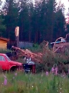 Погода в шуйге