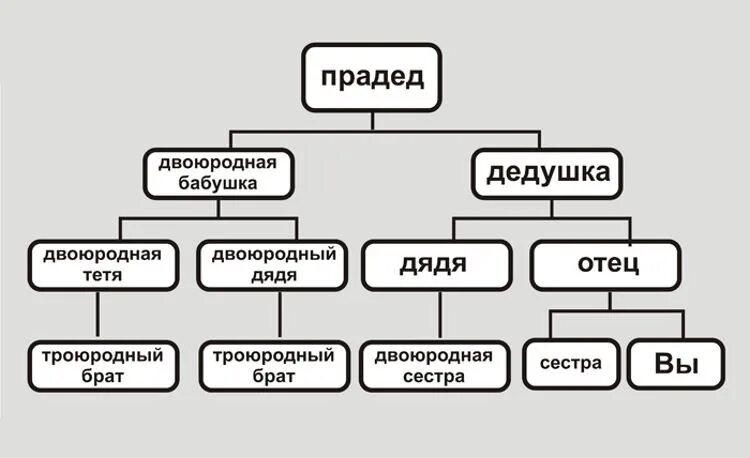 Нисходящая генеалогическая схема. Родословная схема. Виды генеалогических ДРЕВ. Дерево названий родственников.