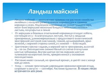 Маи сообщения