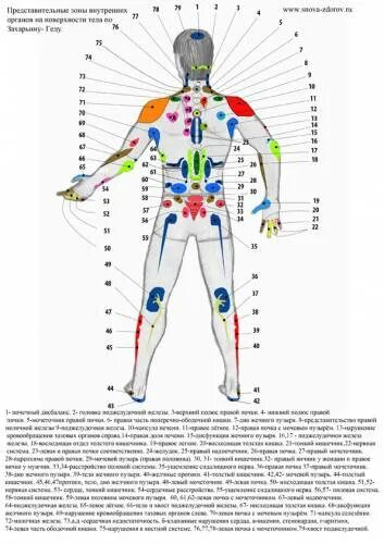 огулов функциональная диагностика