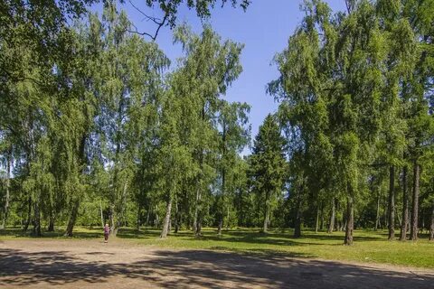 Парки вал