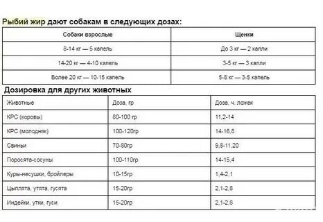 Рыбий жир щенкам сколько