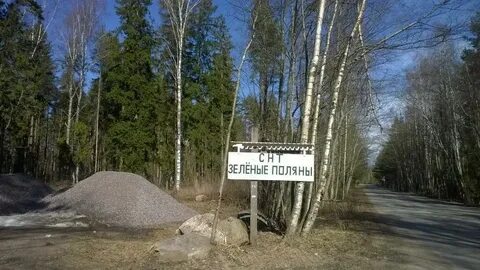 Зеленая роща ленинградская область погода на неделю