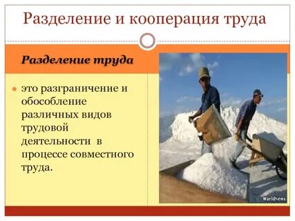 Трудовая деятельность разделение труда