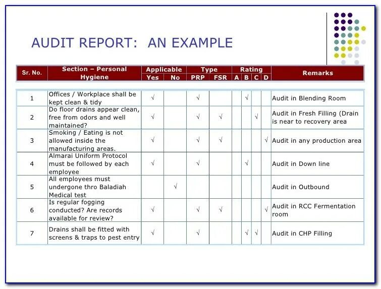 Audit planned. Audit report example. audit report sample. audit plan example. short report sample.