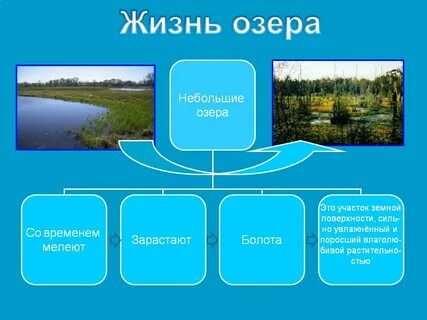 Роль озер в жизни человека