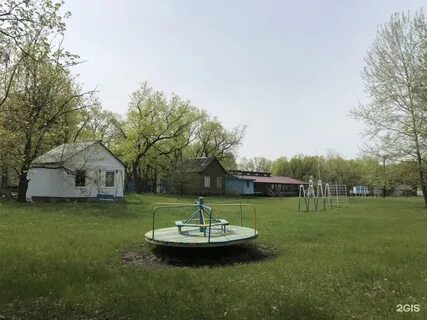Дубовая грива