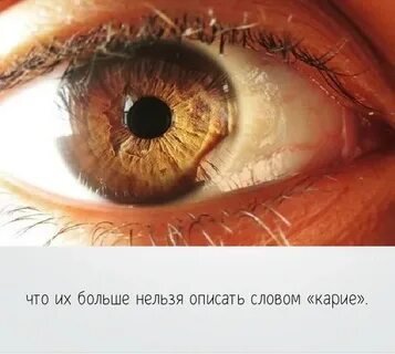 Что будет если много плакать