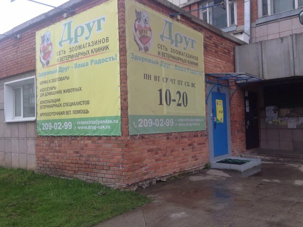 ветеринарная клиника друг. круглосуточная ветеринарная клиника новосибирск. ветеринарная клиника друг новосибирск. ветеринарная клиника друг новосибирск. ветклиника друг новосибирск.
