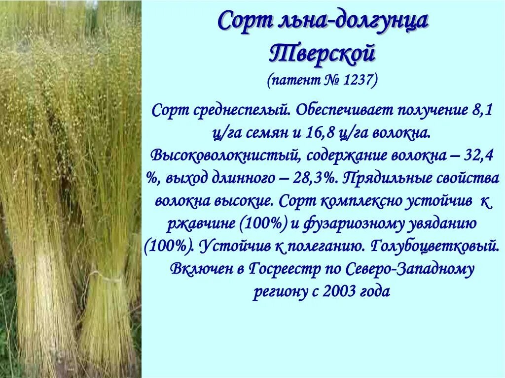 Лен долгунец почвы. Лен долгунец почвы. Лен долгунец почвы. Лен долгунец почвы. Лён масличный технология возделывания.
