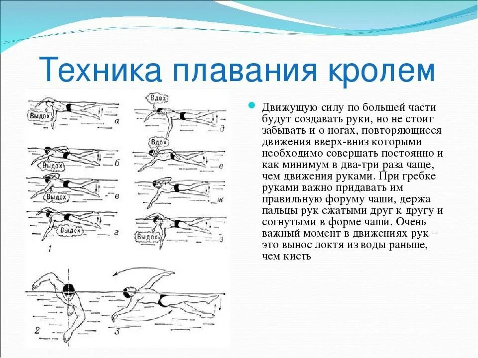 Техника плавания для начинающих взрослых. Стиль плавания кроль на спине брасс. баттерфляй, брасс и кроль на спине и на груди. упражнения для изучения техники плавания кроль на груди. техники плавания кролем на груди движения руками.