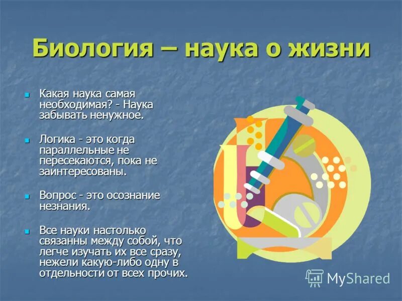 Нумерология. Слайды нумерология. Наукам какое число. Какая наука самая необходимая необходимая. Mmvi какое это число.