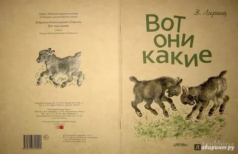 Книга вот они какие