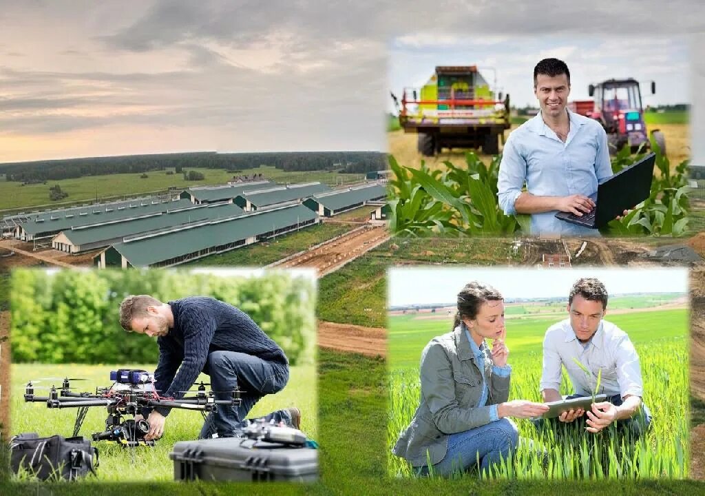 профессии будущего. информационные технологии в сельском хозяйстве. новые технологии и профессии будущего апк. технологии в сельском хозяйстве. сельское хозяйство.