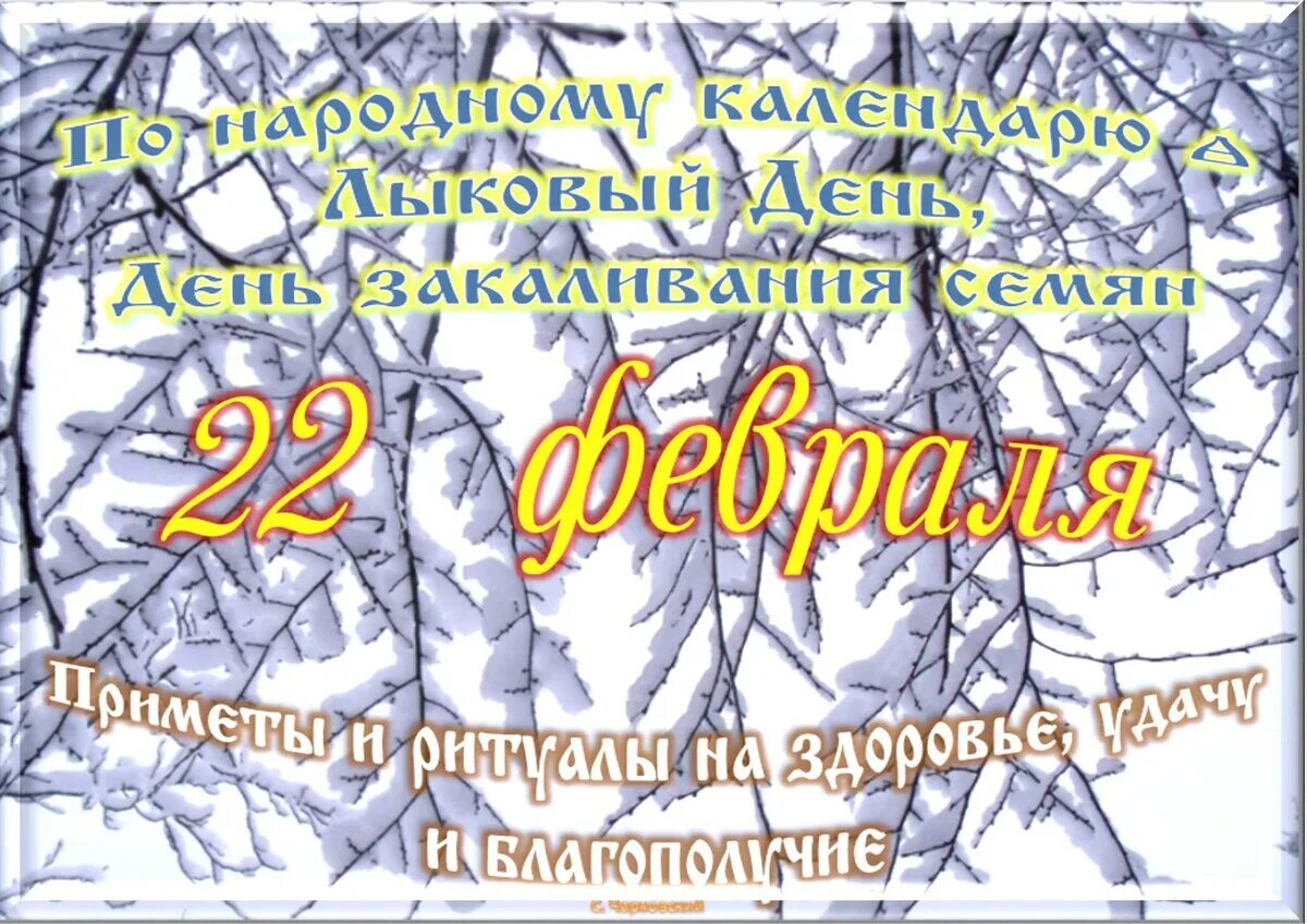 Февраль 22 года. Февраль 22 года