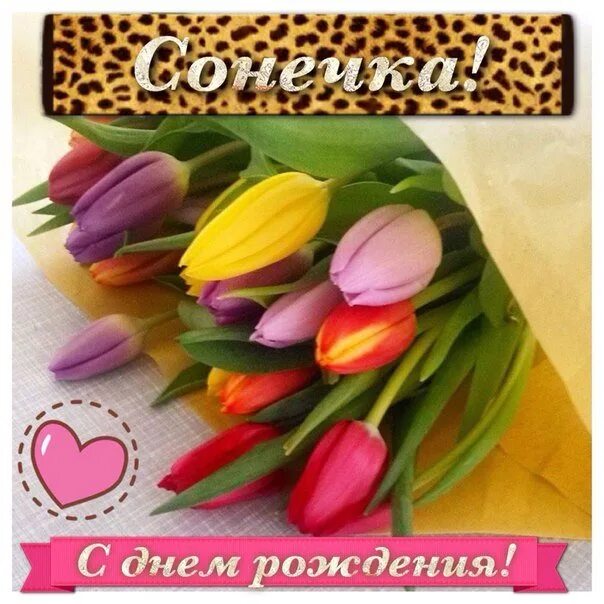 Поздравление с днем рождения девочке соне. С днём рождения сонечка. поздравления с днём рождения сонечке. поздравления с днём рождения софье. с днём рождения сонечка открытка.