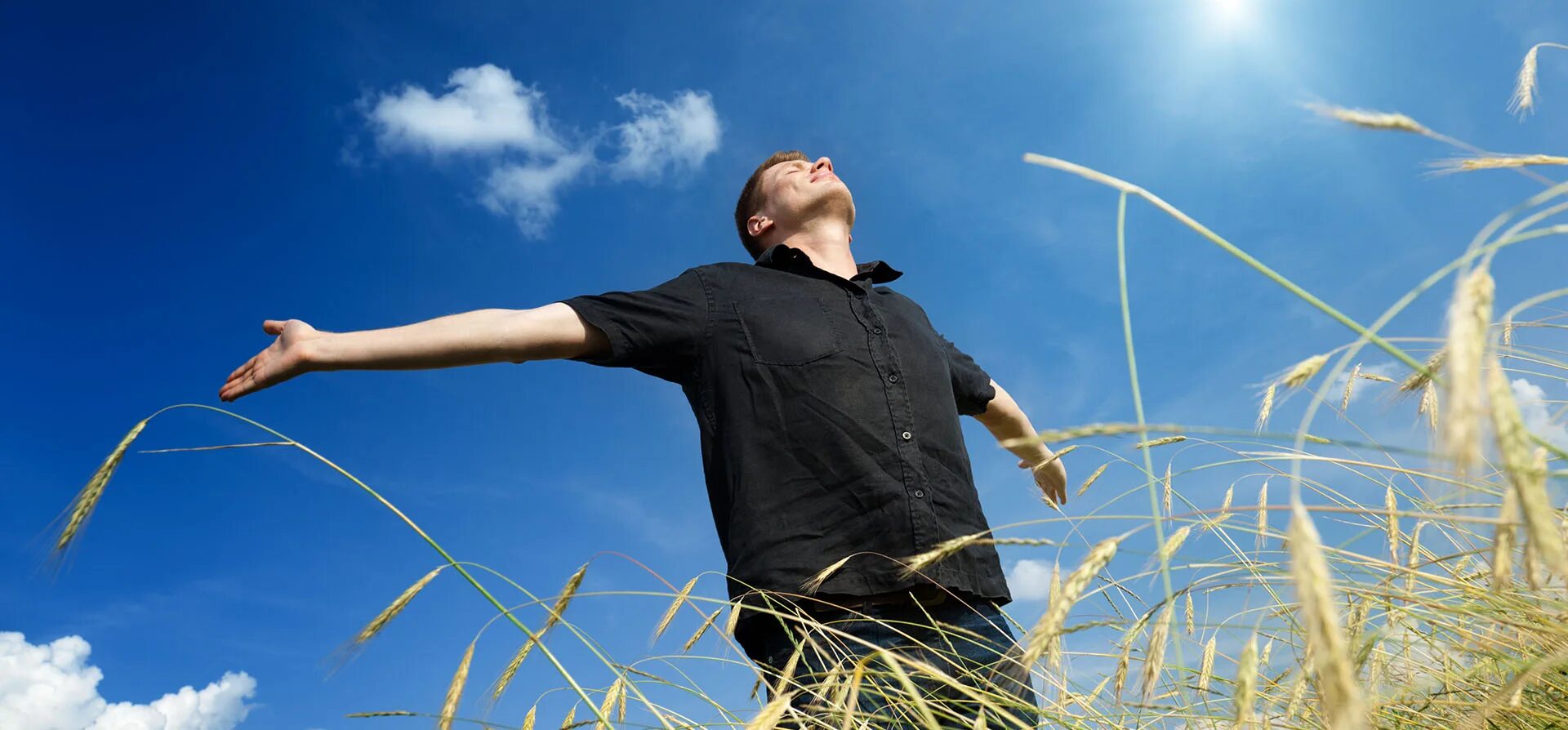 Девушка в поле. Ветер в поле. Фотосессия в поле. Молодой озорной как ветер в поле. Свобода поле.