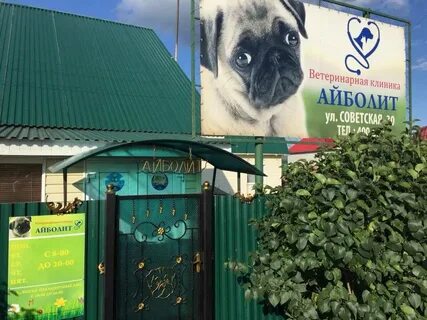 Айболит альметьевск