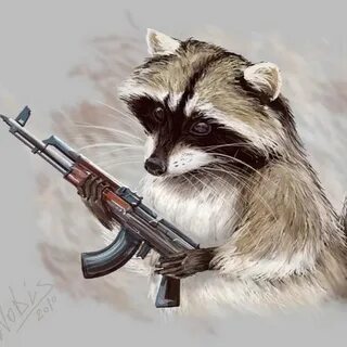 Отстрел енотов