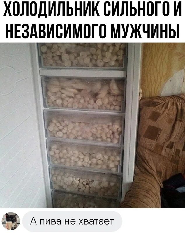 Как живут пельмени в холодильнике. Пельмени в холодильнике. Полный холодильник пельменей. Холодильник для заморозки пельменей. Пельменей много не бывает.