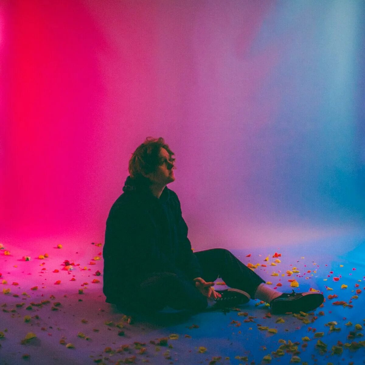 Левис капальди. Льюис Капальди. Lewis Capaldi album. Lewis Capaldi photo.