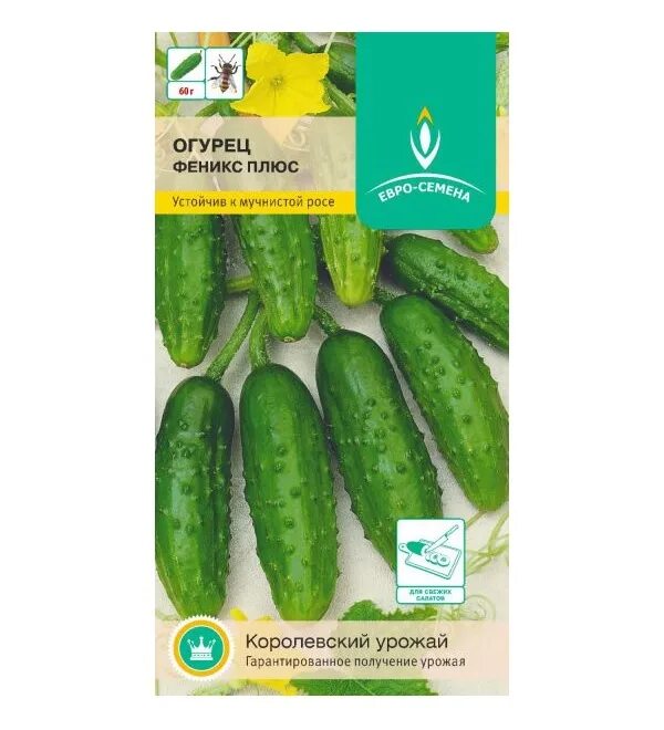 Огурцы феникс гибрид. Гавриш огурец феникс. Огурец феникс плюс описание отзывы. Огурец феникс плюс описание отзывы. Огурец феникс плюс.