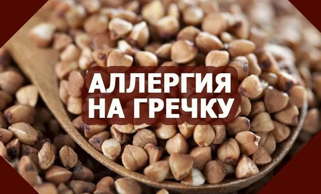 Есть аллергия на гречку