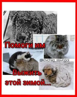 Наступили сильные