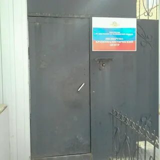 Экспертиза 116