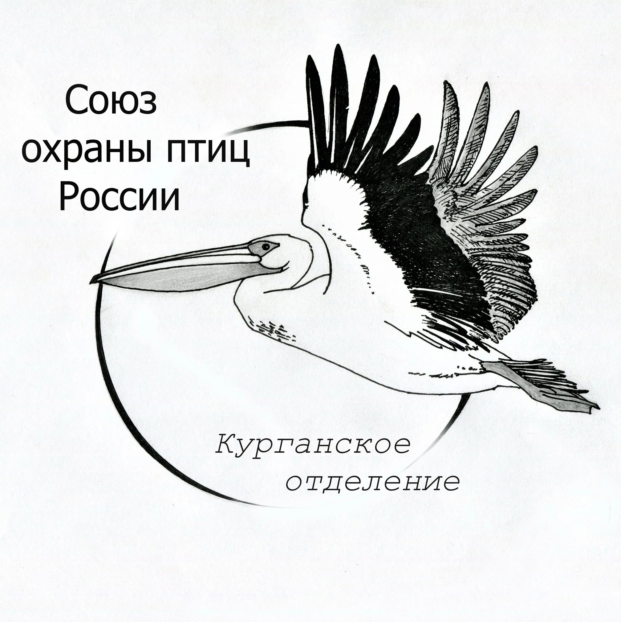 Союз охраны птиц россии птица года 2024. Союз охраны птиц. Союз охраны птиц России эмблема. Символ Союза охраны птиц России. Эмблема Союза охраны птиц.