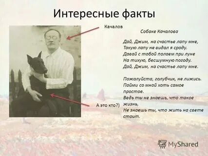 Стих есенина джим