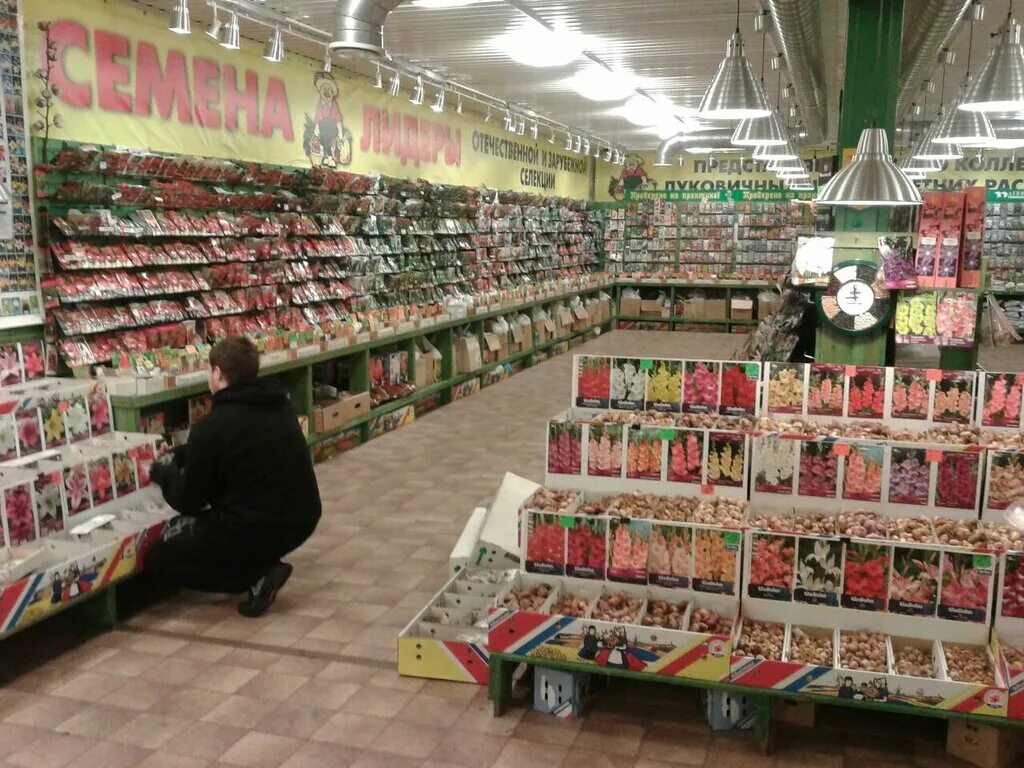Магазин семена в девяткино. Магазин практик сада в металлострое. Семена поиск профессиональные. Семенной магазин. Магазин семян в девяткино привокзальная площадь.