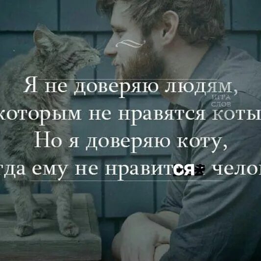 Какие люди любят историю. Животные лучше людей цитаты. человек животное цитаты. высказывания про людей которые не любят животных. люди которые любят животных цитаты.