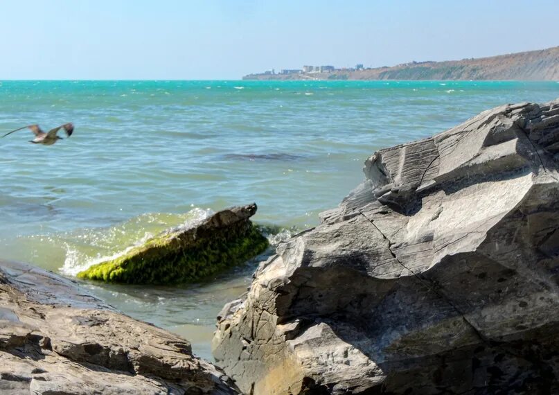 Черное море отдых 2023. Анапа 2022. Море в Анапе сейчас. Черное море сейчас. Анапа море 2022.