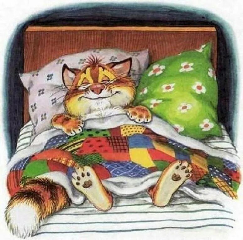 Поспи картинки. Спокойной ночи котики. Спокойной ночи с кошками. Котенок. Спокойной ночи!. Спокойной ночи с кошками прикольные.