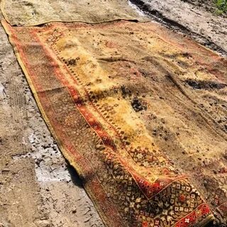 Устилают землю и воду таким пестрым ковром