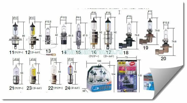 Цоколи п. Типы цоколей ламп 12 вольт. Типы цоколей галогенных ламп 12 вольт. Цоколи п. Маркировка цоколей ламп освещения 220в.