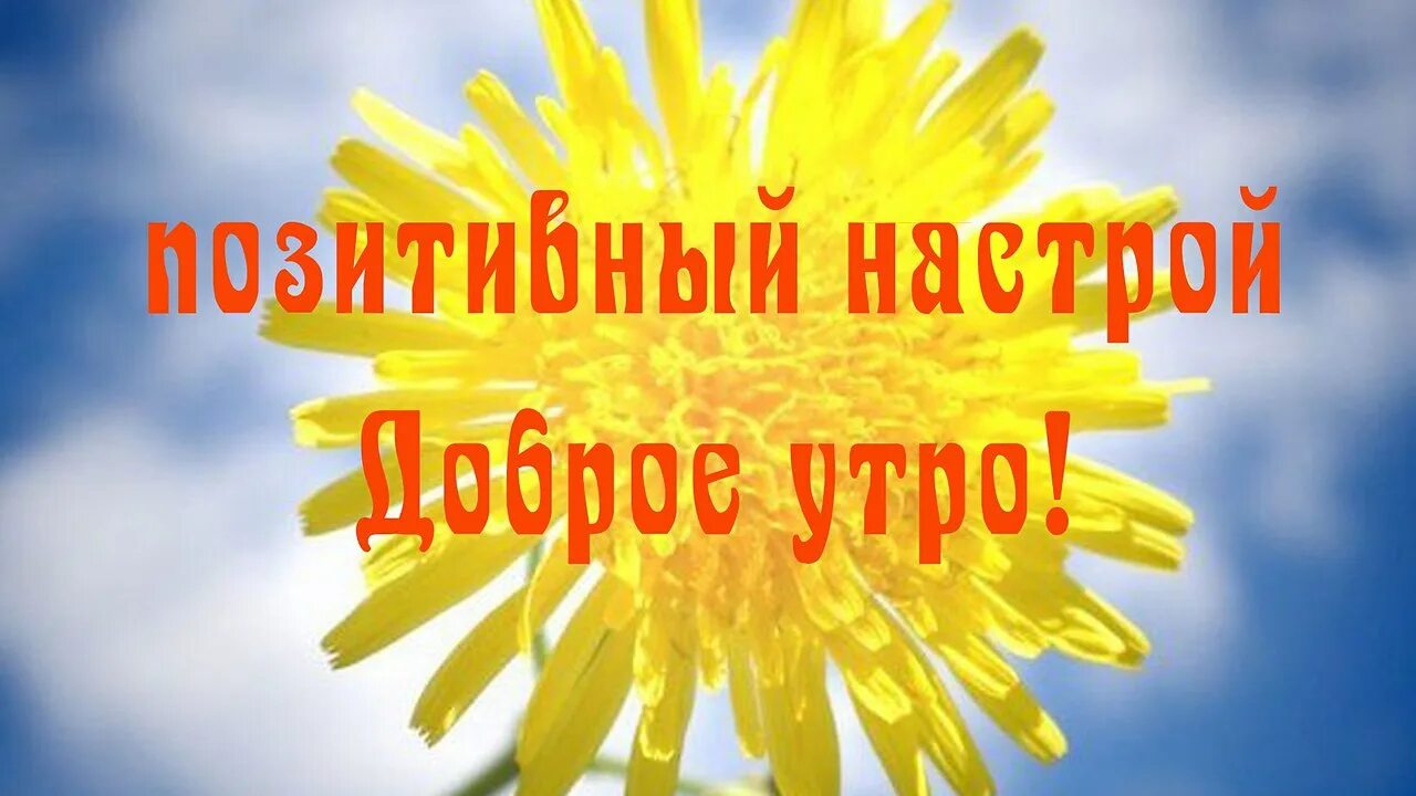 Картинки доброе утро позитив настроение. Позитивного утра. настрой на позитив. открытки с позитивным настроем. картинка настрой на позитив.