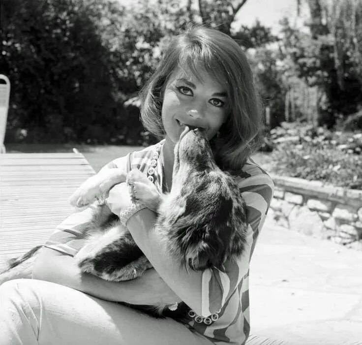 Natalie wood tv girl. Natalie wood tv girl. натали вуд полный рост. джастин уодделл в купальнике. натали вуд полный рост.