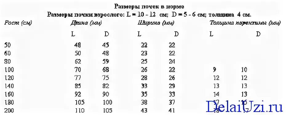 УЗИ почек норма у детей таблица. УЗИ почек показатели нормы таблица у взрослых. УЗИ почек нормы у взрослого таблица. Нормы размеров почек у грудничков.