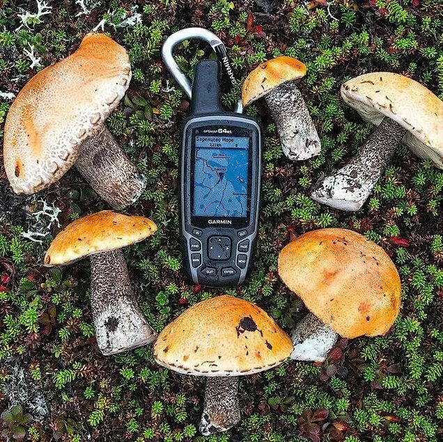 Garmin etrex touch 35. Возвращатель гармин для грибника. Gps навигатор garmin etrex. Garmin oregon 700. Гармин 1572.