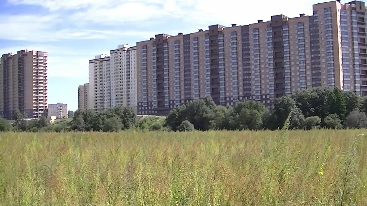 Поле девяткино
